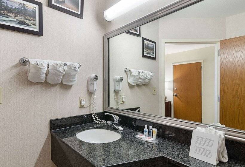 Люкс Адаптированный для Инвалидов, Quality Suites Springdale West I 49