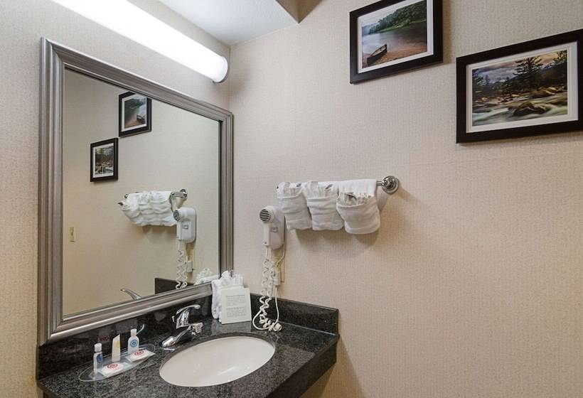 套房, Quality Suites Springdale West I 49