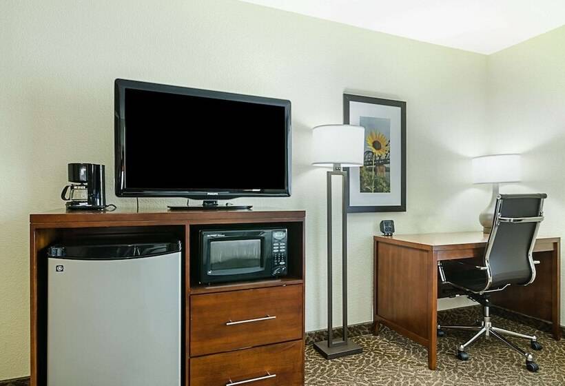 Люкс Адаптированный для Инвалидов, Quality Suites Springdale West I 49