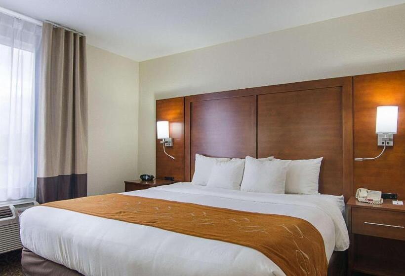 带大床的套房, Quality Suites Springdale West I 49