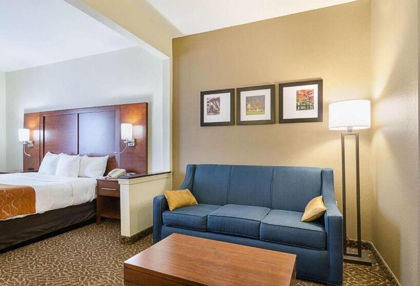 带大床的套房, Quality Suites Springdale West I 49