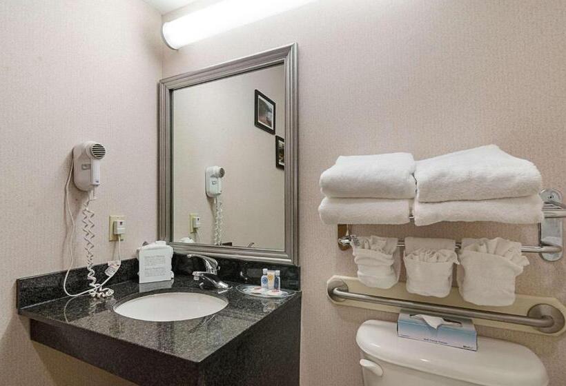 Люкс, Quality Suites Springdale West I 49