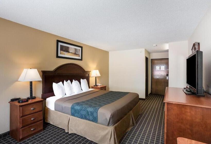 اتاق استاندارد با تخت بزرگ, Rodeway Inn