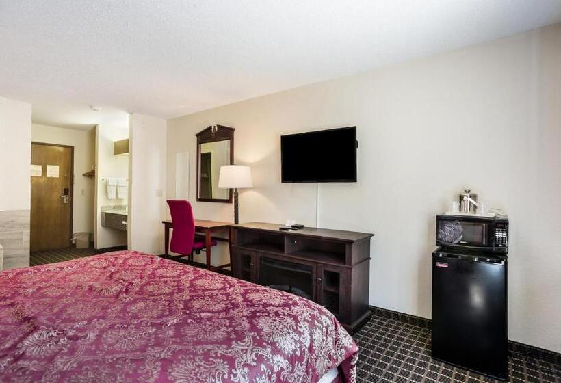 اتاق استاندارد با تخت بزرگ, Rodeway Inn