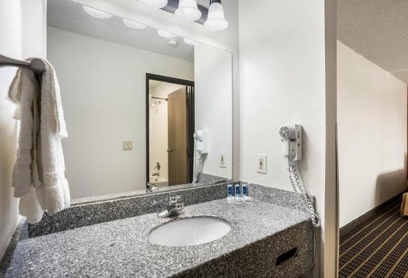 اتاق استاندارد با تخت بزرگ, Rodeway Inn