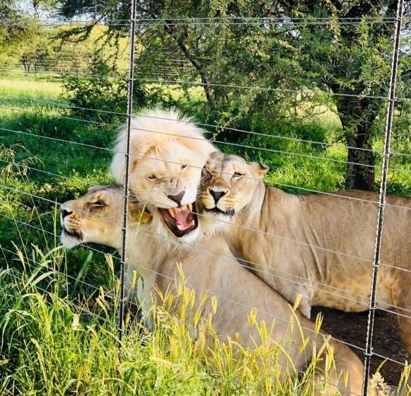 اتاق استاندارد با چشم‌انداز باغ, Simba Safaris African Pride Exotic Lodge