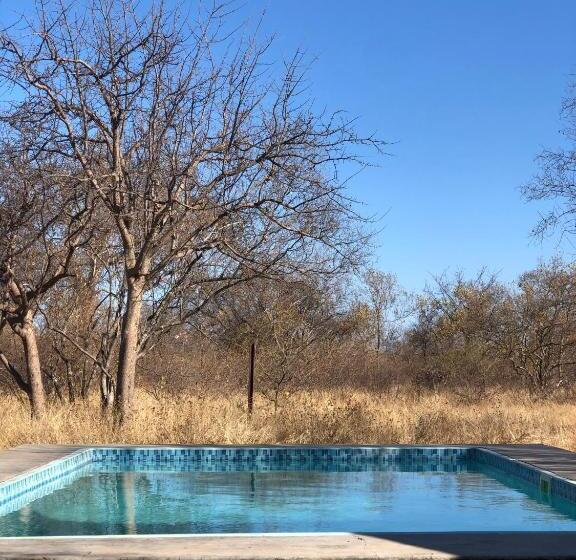 اتاق استاندارد با تراس, Simba Safaris African Pride Exotic Lodge