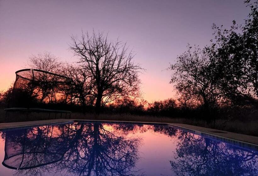 Шале Superior 1 Спальня, Simba Safaris African Pride Exotic Lodge