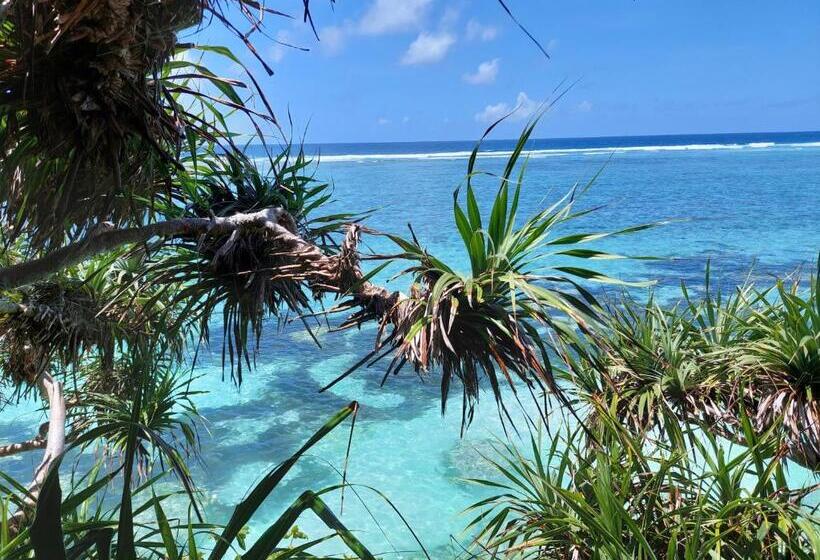 디럭스 방갈로, Mtende Beach Bungalow Océan View