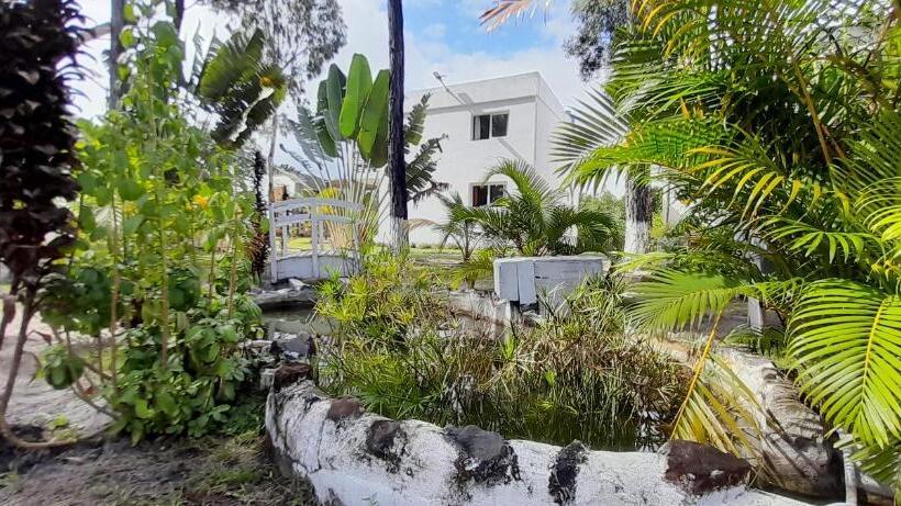 اتاق استاندارد با چشم‌انداز استخر, The Sanctuary Lodge