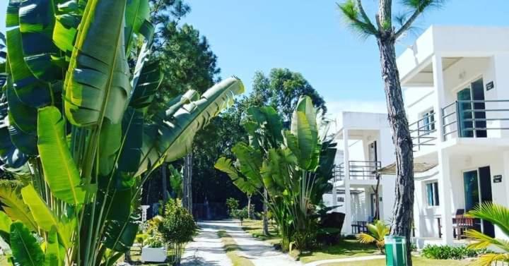 اتاق استاندارد با چشم‌انداز استخر, The Sanctuary Lodge
