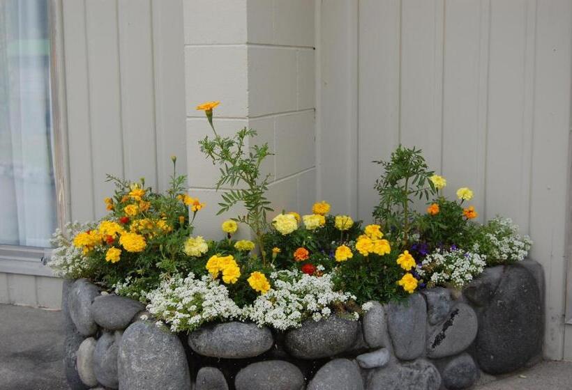 Студия Стандарт, Tongariro River Motel