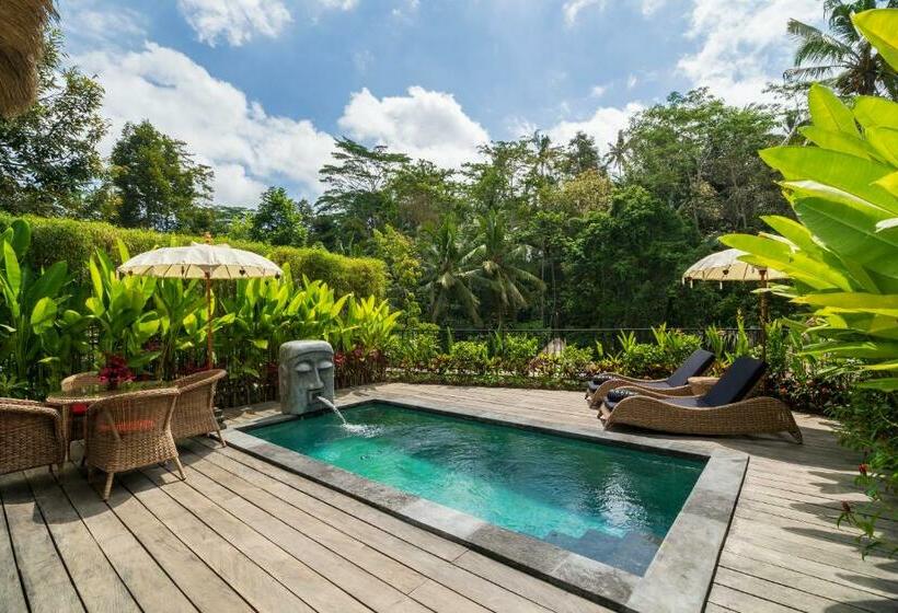 Номер Стандарт, Keliki Luxury Lodge