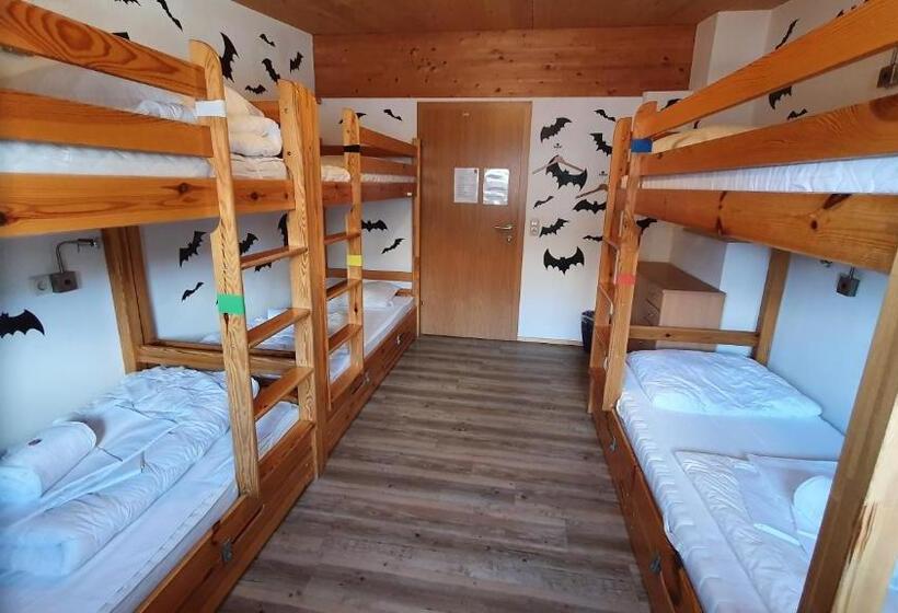 Кровать в Общей Комнате, Alpking Hostel