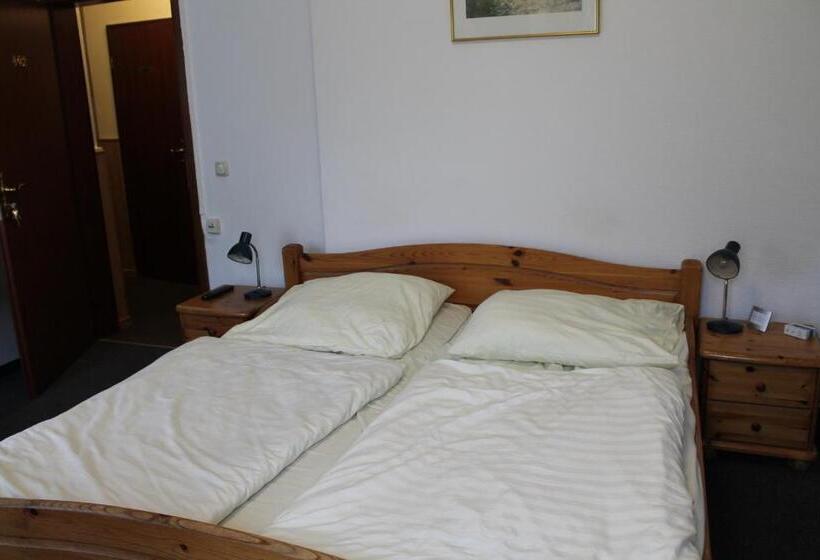 اتاق استاندارد, Pension Locarno