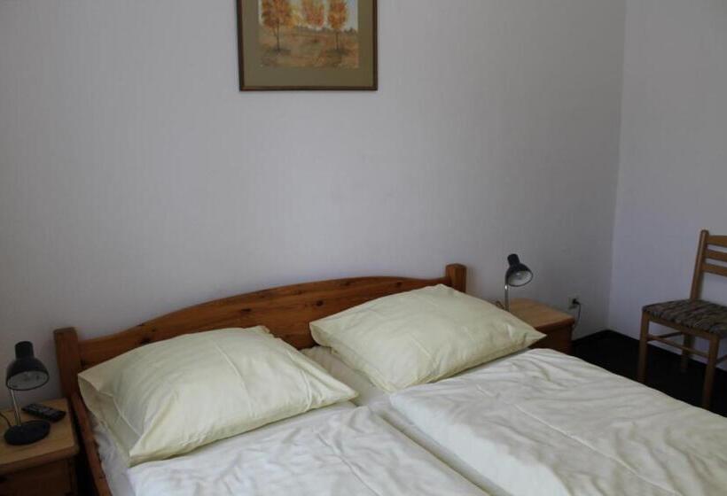 اتاق استاندارد, Pension Locarno