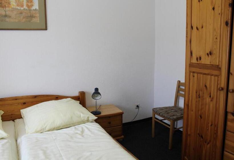 اتاق استاندارد, Pension Locarno