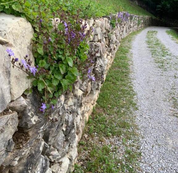 Номер Стандарт, Il Mulino Di Valeria