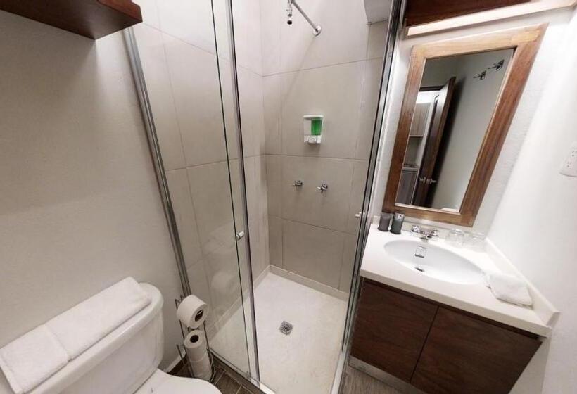 Suite Cama King, Tokio Suites