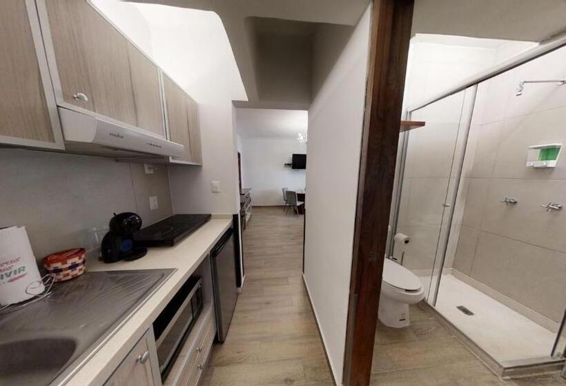 Estudio Estándar Cama King, Tokio Suites