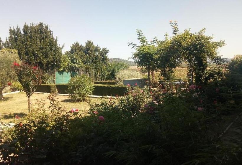 Семейный Номер, La Vigneronne