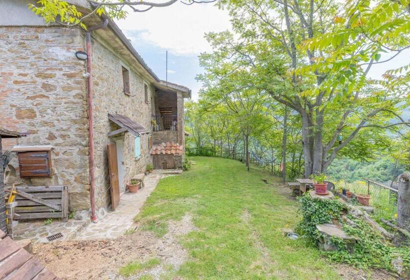 Quarto Estandar, La Fonte Di Gaiche