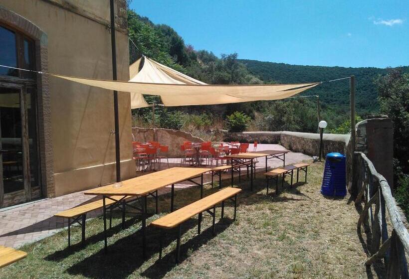 اتاق استاندارد چهار تخته, Student S Hostel Gowett