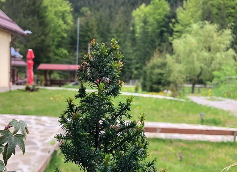 침실 1개 주택, Pensiunea Zorile Tarcaului