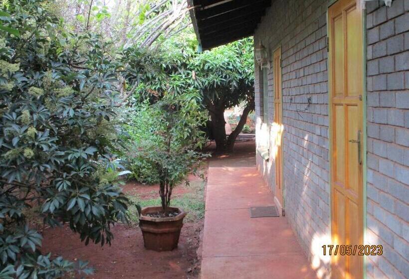Номер Стандарт, Lutea Guest House