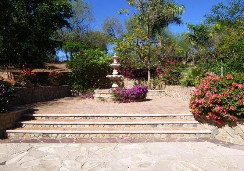 استودیو استاندارد با تخت کینگ, Loma De Guadalupe Alamos Sonora