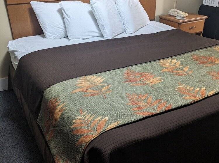 اتاق لوکس یک تخته, Rainbow Motel