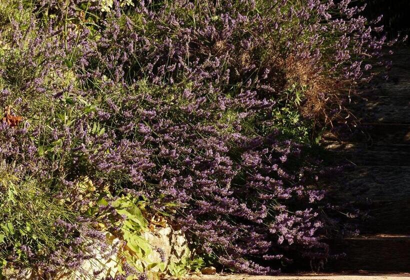 سوییت با چشم‌انداز استخر, ô Tilia D Azur