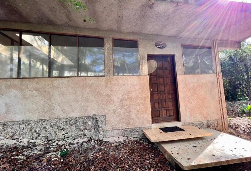 سوییت, El Encanto   Hotel Boutique