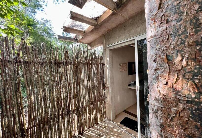 اتاق لوکس, El Encanto   Hotel Boutique