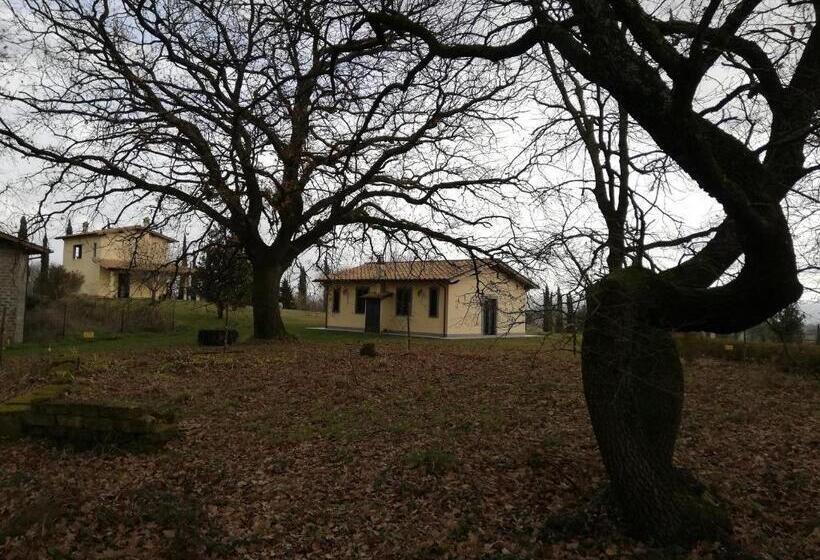 Апартаменты 1 Спальня Вид на Сад, Agriturismo Podere Bianca Maria