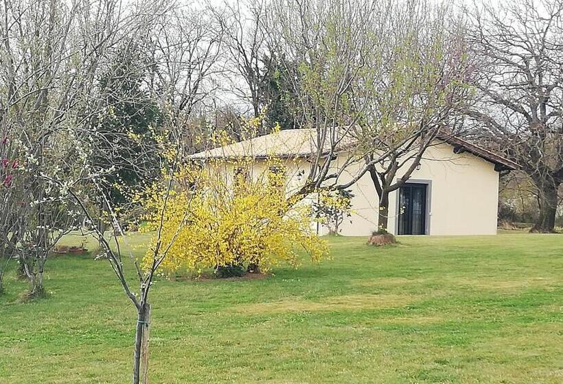 Апартаменты 1 Спальня Вид на Сад, Agriturismo Podere Bianca Maria