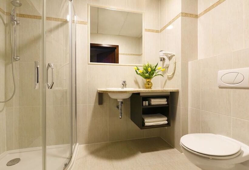 Номер Стандарт Индивидуальный, Turówka Hotel & Spa
