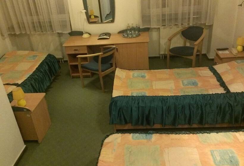 اتاق استاندارد سه نفره, Aiden By Best Western Lodz