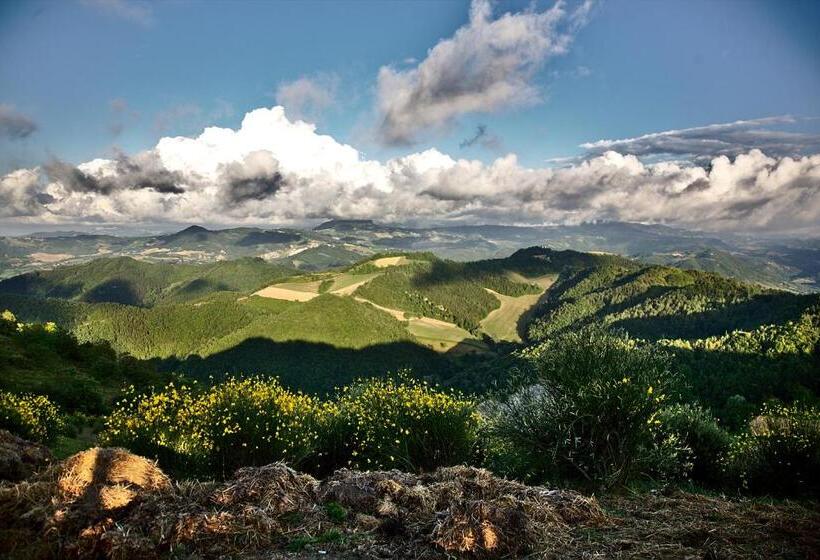 Апартаменты 1 Спальня, Agriturismo Il Pagliaio