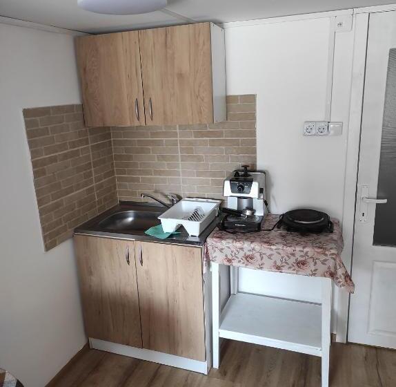 اتاق استاندارد یک نفره, Sport Hostel Cluj