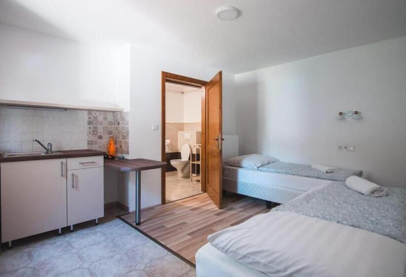 Студия Стандарт, Natúra Panzió&apartmanház