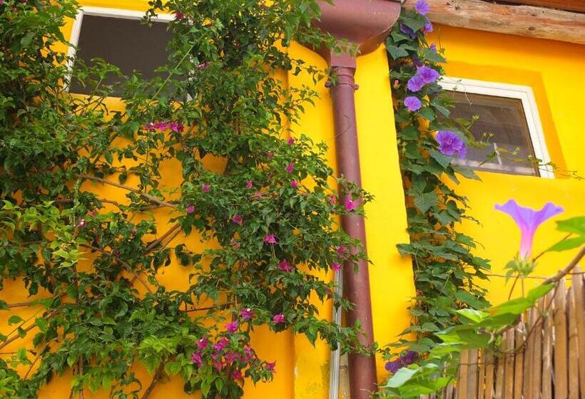 سوییت دوبلکس, La Maison Jaune