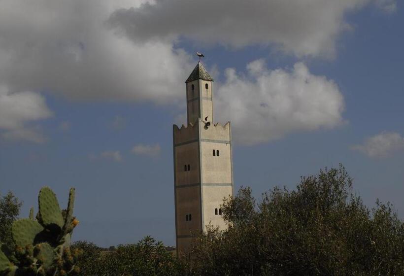 اتاق استاندارد, Darmimouna
