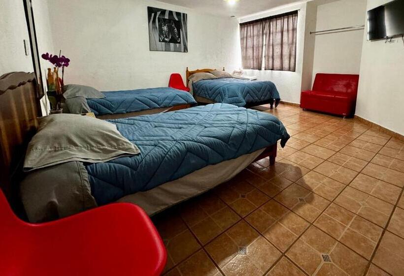浴室共有スタンダード４人用ルーム, Pura Vida! Ciudad Hidalgo