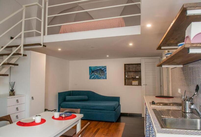 اتاق دوبلکس, Belmar