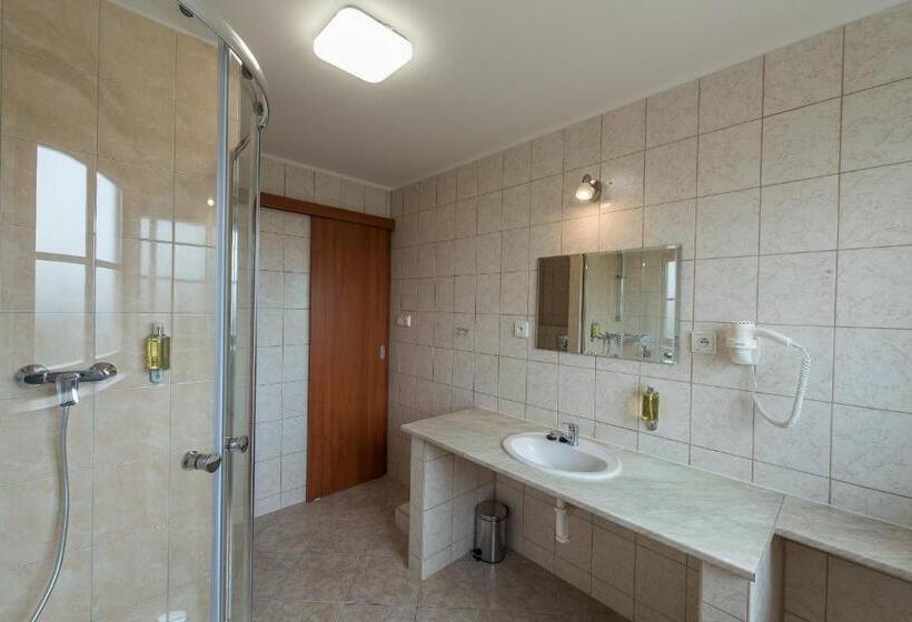 חדר דלוקס עם מרפסת, Penzion Leknín