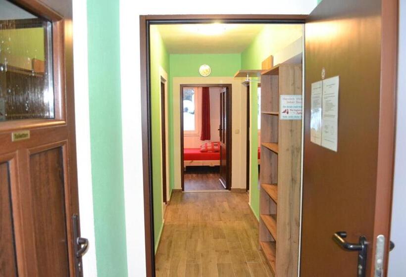 Номер Стандарт, Apartment Holiday Lungötz
