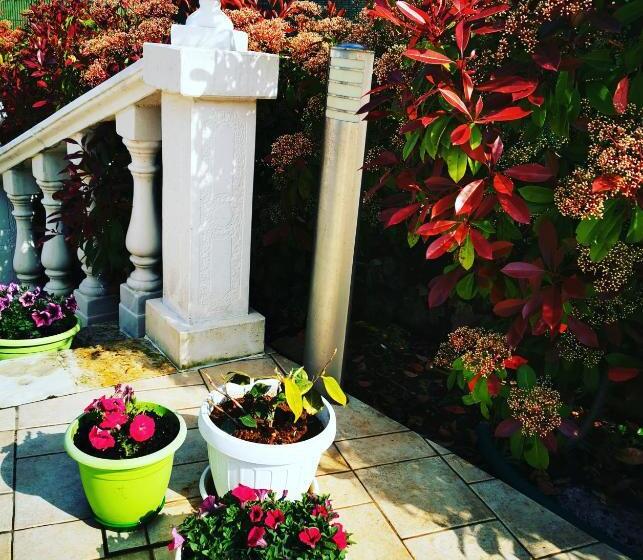 سوییت سوپریور, Trullo Suite