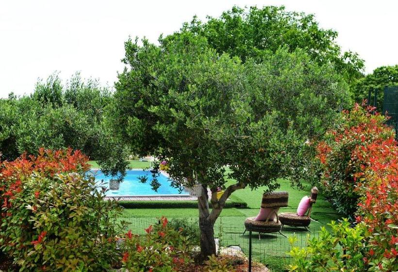 اتاق استاندارد, Trullo Suite
