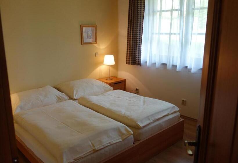 דירת חדר, Pension Aspen